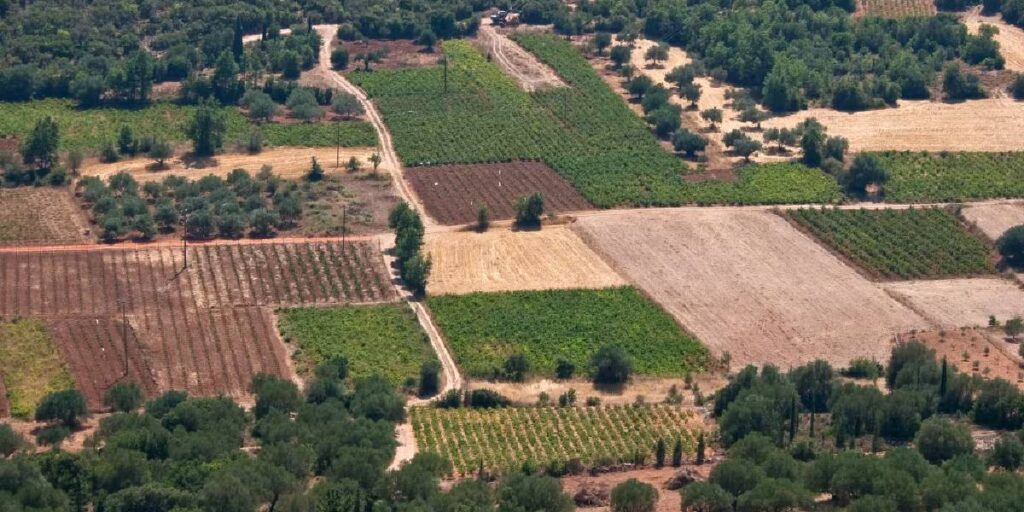 Konut Satışlarındaki Düşüş, Arsa ve Tarla Piyasasını Patlattı: İşte Türkiye’nin En Çok Tercih Edilen Bölgeleri