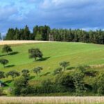 Arsa Yatırımı İçin En Değerli Bölgeler Açıklandı: Buralar Gelecekte Altından Değerli Olabilir