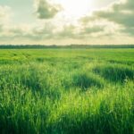 2B Arazilerinde Yeni Dönem: 5 Milyon Kişiye Tapu Fırsatı Geliyor